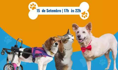 Campo Grande terá feira de adoção de pets com necessidades especiais