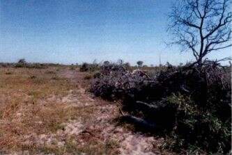 MP investiga fazenda por desmatamentos que superam 3,6 mil hectares no Pantanal