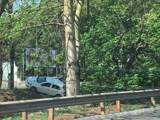 Carro desce de r&eacute; e coqueiro impede queda em c&oacute;rrego