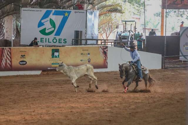 Parque do Peão terá competição feminina de laço neste feriado - Esportes -  Campo Grande News