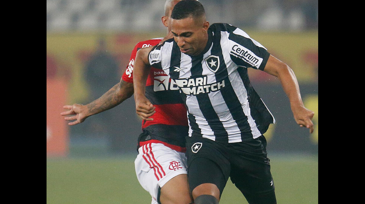 Botafogo vence Flamengo e assume liderança do Brasileirão