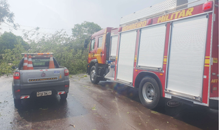Corpo de Bombeiros foi acionado para atender ocorrências envolvendo árvores em Amambai (Foto: Divulgação)