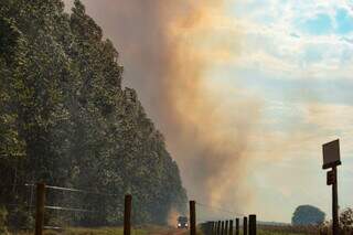 Fumaça de incêndio em plantação de eucaliptos, próximo a BR-262, saída para Três Lagoas (Foto: Henrique Kawaminami)