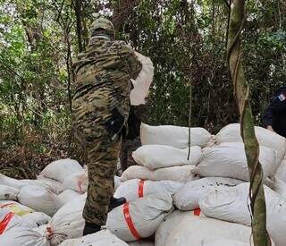 Policial empilha sacos de maconha encontrados em fazenda (Foto: Divulgação)