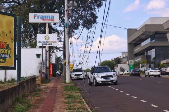 Nem bairro chique se livra de fia&ccedil;&atilde;o solta e projeto contra desleixo &eacute; arquivado