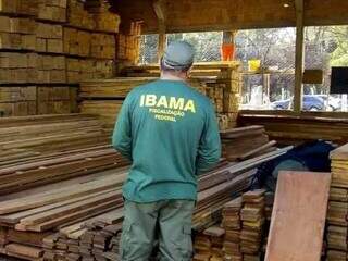 Trabalho do Ibama em MS inclui fiscalizar queimadas e desmatamento irregular, além de produção de madeira. (Foto: Ibama/Divulgação)