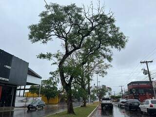 Chuva leve nesta manhã na Rua Hayel Bon Faker, em Dourados (Foto: Helio de Freitas)