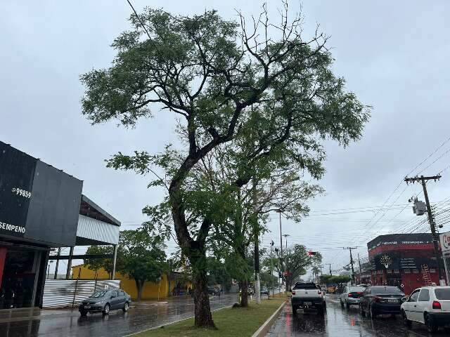 Capital e 62 cidades est&atilde;o sob alerta de tempestade