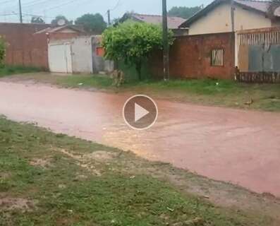 Enquanto asfalto não chega, rua vira rio no Jardim Noroeste 