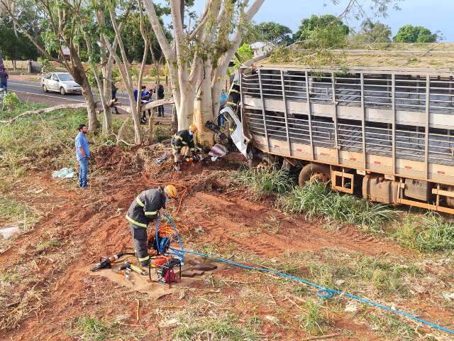 Caminh&atilde;o atinge &aacute;rvore na madrugada e motorista morre preso &agrave;s ferragens 