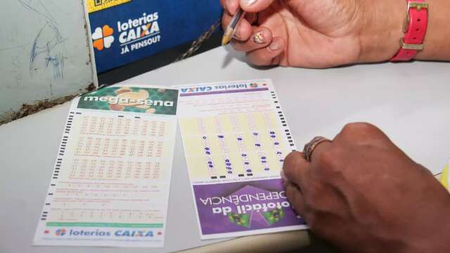 Caixa divulga dezenas sorteadas na Lotof&aacute;cil da Independ&ecirc;ncia