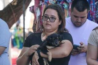 C&atilde;es e gatos buscam novos amigos em feira de ado&ccedil;&atilde;o na Pra&ccedil;a Bol&iacute;via