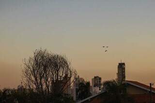 Céu claro nesta manhã no Jardim Bela Vista, em Campo Grande (Foto: Henrique Kawaminami)