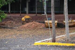 Caçambas no novo estacionamento da Secretaria de Fazenda. (Foto: Marcos Maluf)