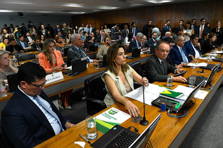 Projeto de lei sobre o marco temporal teve aprovação da relatora de comissão do Senado, Soraya Thronicke (Foto: Marcos Oliveira/Agência Senado)