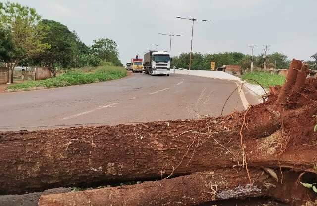 Ind&iacute;genas bloqueiam rodovia para cobrar mais seguran&ccedil;a em aldeias de MS