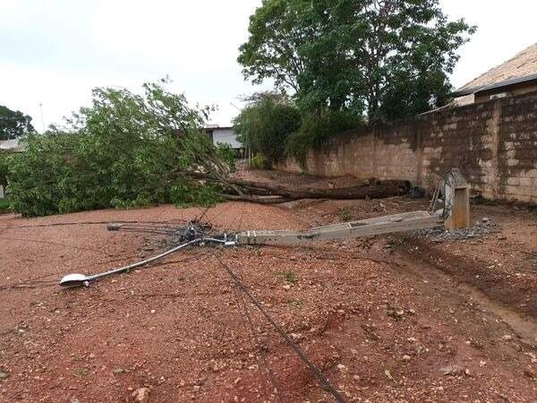 Ventania derruba árvore e poste de energia elétrica em Bonito 
