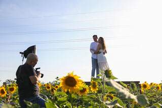Casal Marcela e Afonso fizeram ensaio de casamento no campo de girassóis. (Foto: Paulo Francis)