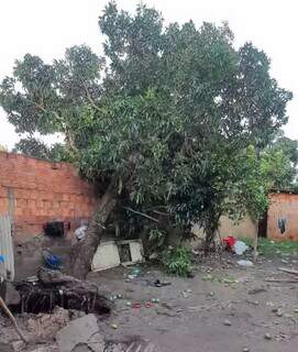 Muro fica torto após árvore cair durante vendaval em Corumbá (Foto: Divulgação)