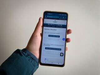 Página de consulta de Valores a Receber aberta em celular (Foto: Clara Farias)
