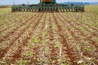 Agricultor planta em área preparada para cultivo o da soja. No ciclo atual, a oleaginosa teve produção recorde em MS. (Foto: Arquivo/CNA)