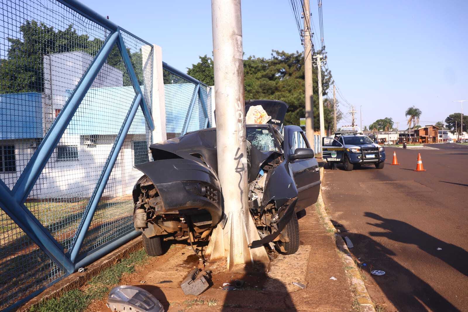 Motorista flagra bando de araras em 'café da manhã' durante horário de pico  em rua de Campo Grande; veja vídeo, Mato Grosso do Sul