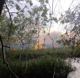 Pantanal e Cerrado registram primeiros incêndios após começo da onda de calor