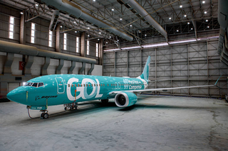 Avião da GOL com campanha de sustentabilidade apresentado no aeroporto de Confins, em Minas Gerais (Foto:Nereu Jr/Divulgação)