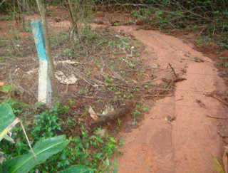 Imagem de 2009 mostra que cerca perto do córrego teve um metro engolido pela terra. (Foto: Reprodução)