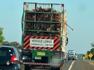 Caminhão com carga de madeira é visto com material pendurado na BR-158 (Foto: Direto das Ruas)