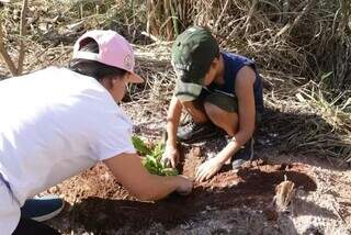 Criança plantando árvore frutífera em Campo Grande (Foto: Arquivo/ Campo Grande News)