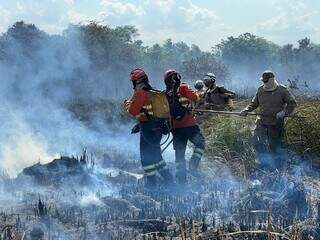 Bombeiros brigadistas atuando em incêndio no município de Bonito (Foto: Divulgação/Corpo de Bombeiros)
