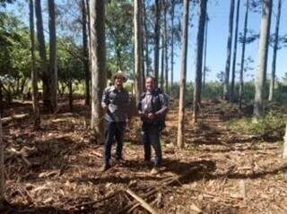 Pesquisadores Paulo Eduardo Teodoro e Carlos Antonio da Silva Junior em coleta de dados na área de eucalipto