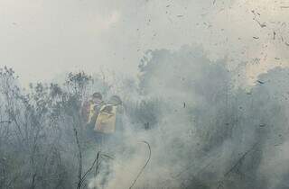 Por pouco, chamas não chegaram à mata ciliar do Rio Formoso (Foto: Centro de Proteção Ambiental/Corpo de Bombeiros de MS)