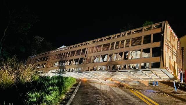 Motorista perde controle e tomba caminh&atilde;o com bois em rodovia