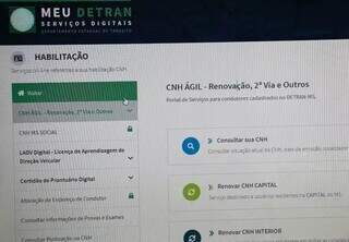 Portal que oferece serviços digitais do Detran-MS (Foto: Juliano Almeida)