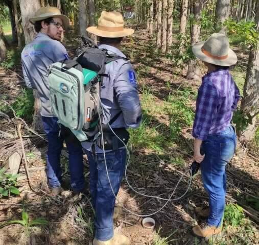 Pesquisadores de Chapad&atilde;o do Sul estudam emiss&atilde;o de carbono em MS