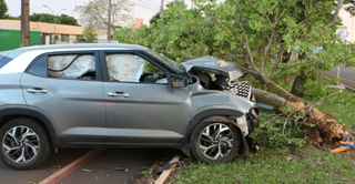 Após colidir com motociclista, motorista perdeu o controle e derrubou árvore (Foto: O Correio News) 