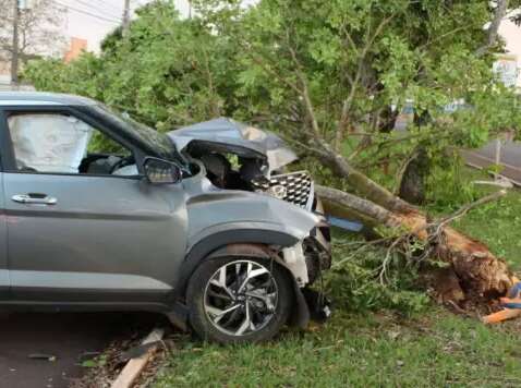 Motociclista morre atropelado por delegado; carro ficou destru&iacute;do em &aacute;rvore