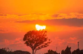 O sol inclemente marca o raiar da primavera em Mato Grosso do Sul. (Foto: Henrique Kawaminami)