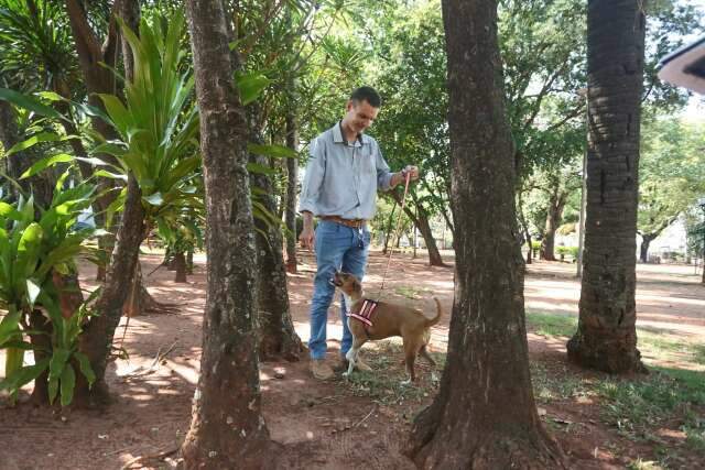 No &ldquo;calor&atilde;o&rdquo;, quem ama cuida e muda a rotina da cachorrada