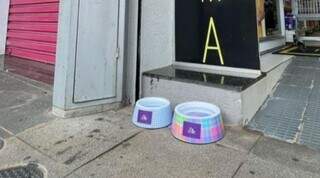 Pet shop começou campanha para comércio em geral colocar água nas fachadas neste tempo quente (Foto: Reprodução)