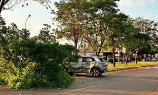 Carro que o delegado dirigia derrubou uma árvore após colidir com a motocicleta (Foto: reprodução / Bolsão News)