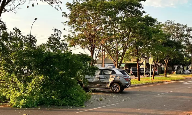 Pol&iacute;cia diz que j&aacute; investiga acidente com morte envolvendo delegado