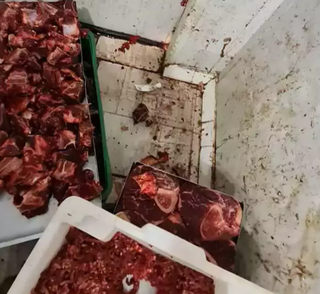 Carnes foram encontradas armazenadas de forma irregular (Foto: Direto das Ruas)