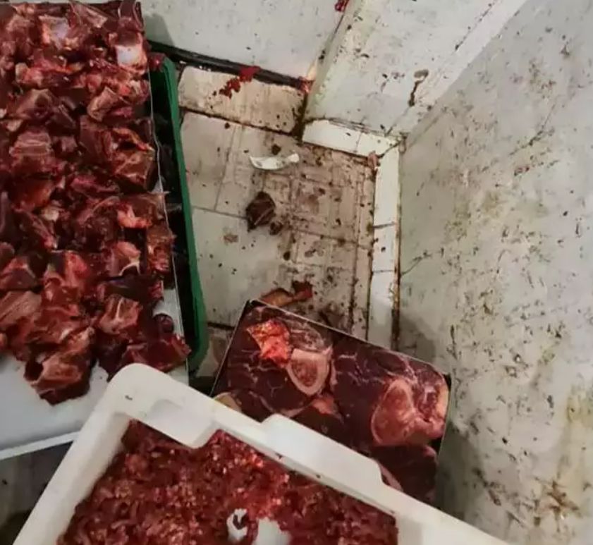 Delegado informa que 6,3 toneladas de carne foram apreendidas em açougue 