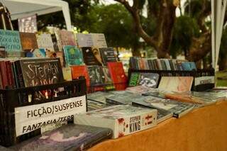Vendidos a partir de R$ 10, livros são de gêneros variados. (Foto: Arquivo pessoal)
