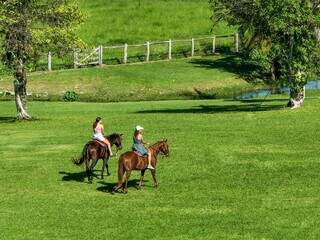 No período da tarde, os cavalos ficam disponíveis para um passeio livre em frente a sede da fazenda.  (Foto : Pierre Louis Beranek )