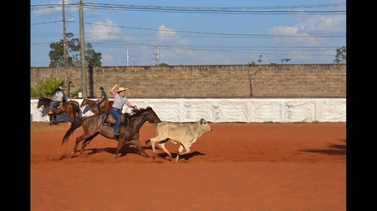 Parque do Peão terá competição feminina de laço neste feriado - Esportes -  Campo Grande News