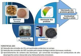 Processo de transformação da biomassa. (Foto: Reprodução)